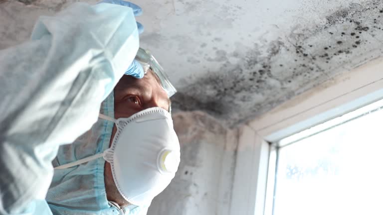 Why You Should Choose Our Mold Remediation Services in Valley Falls, KS